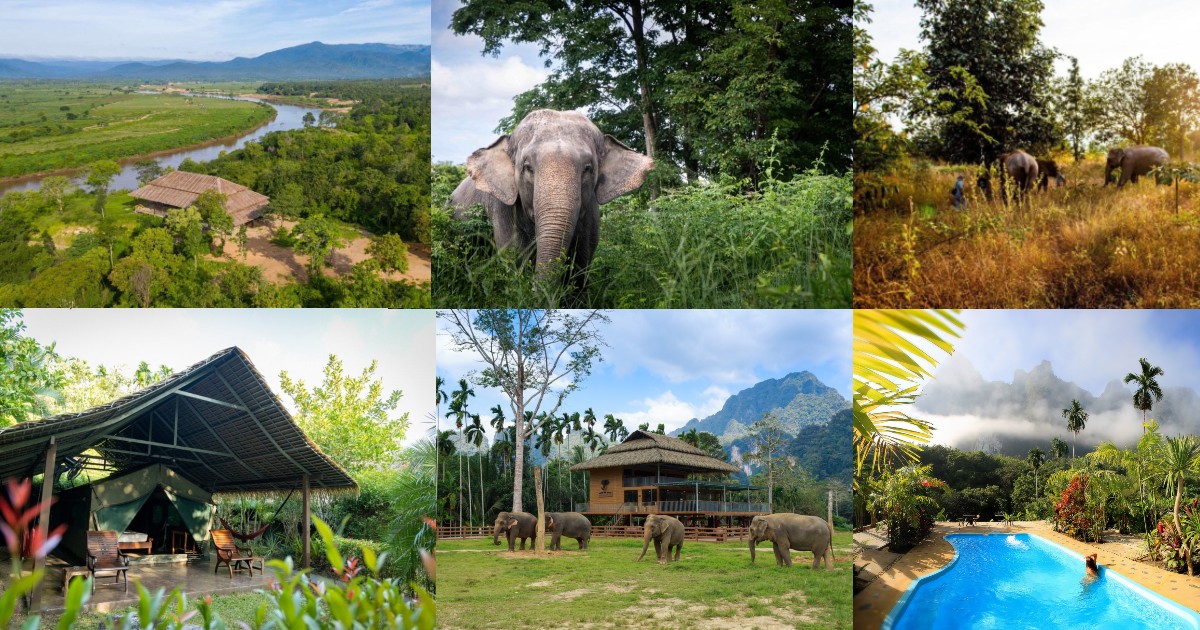 Elephant Hills Khao Sok vs The Bush Camp Chiang Mai: Which Thailand Jungle Adventure Is Right for You?