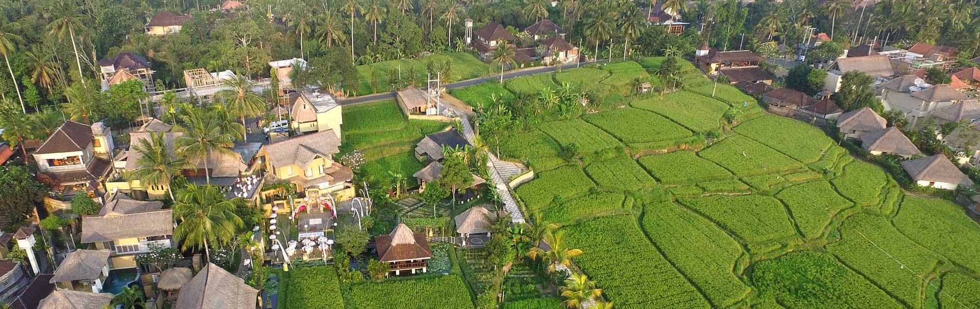 Wapa di Ume, Ubud