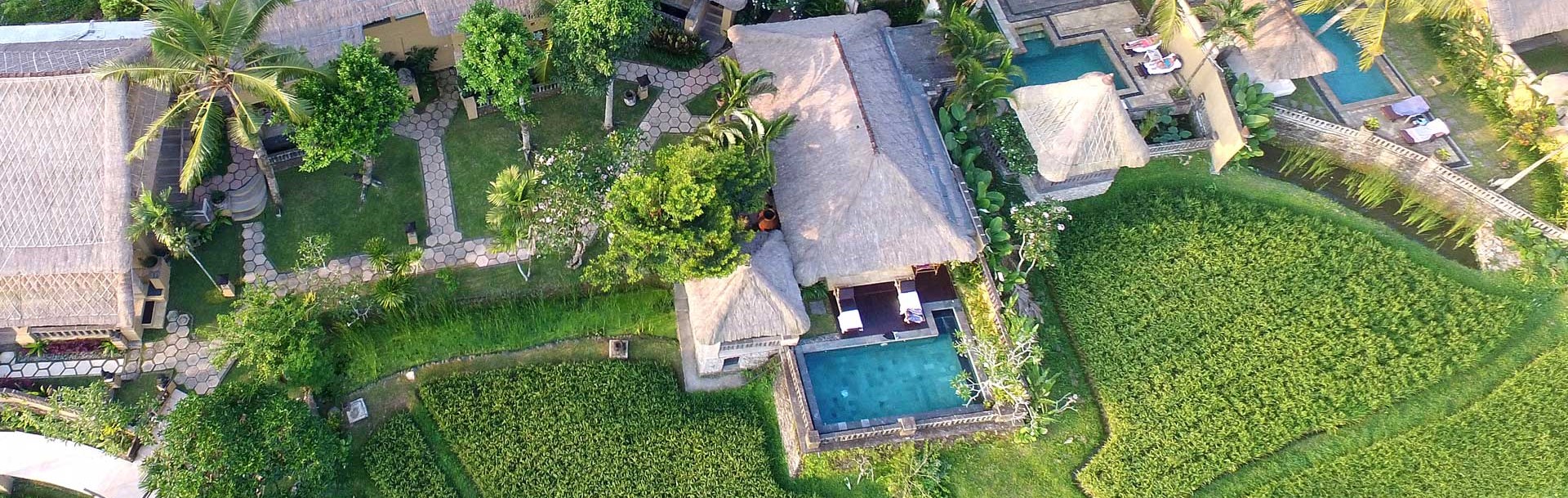 Wapa di Ume, Ubud