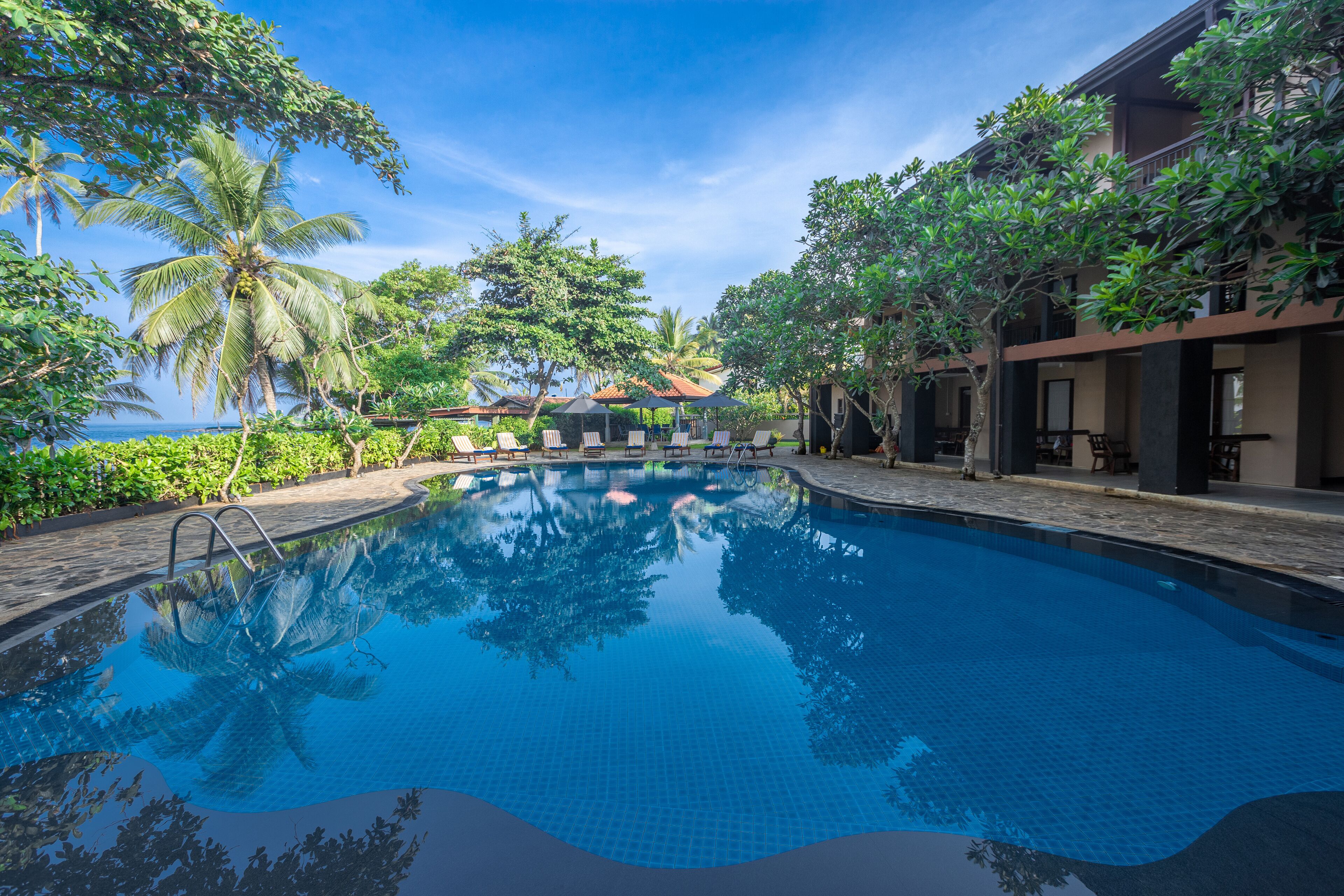 Earl's Regent, Beruwala