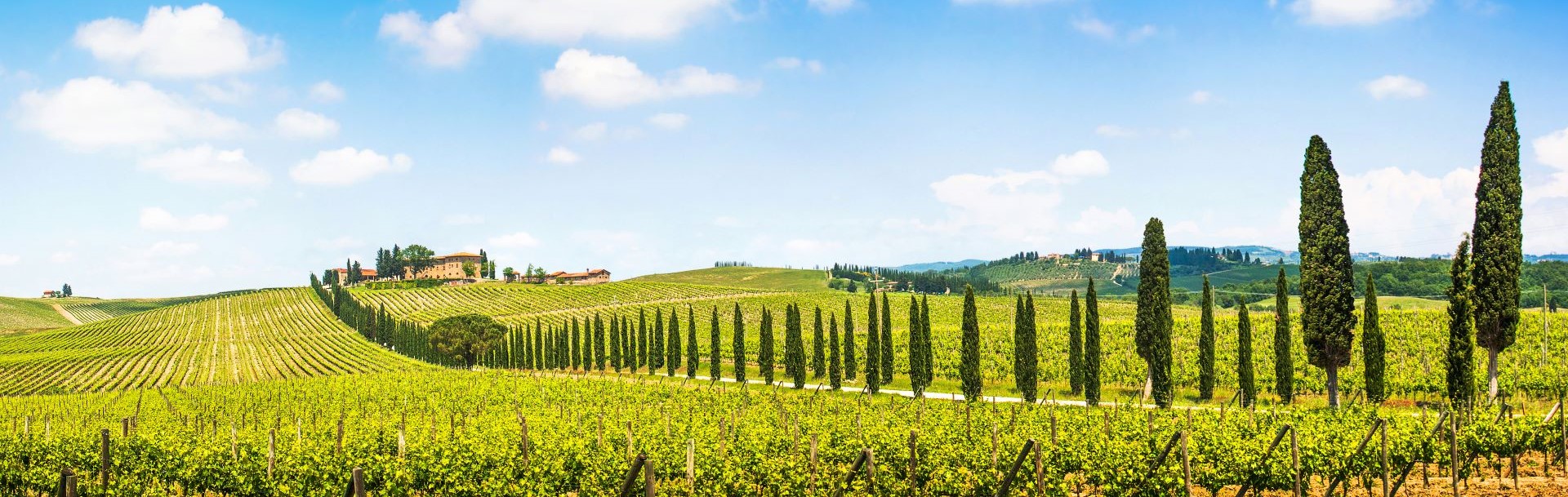 Chianti Region Self-Drive