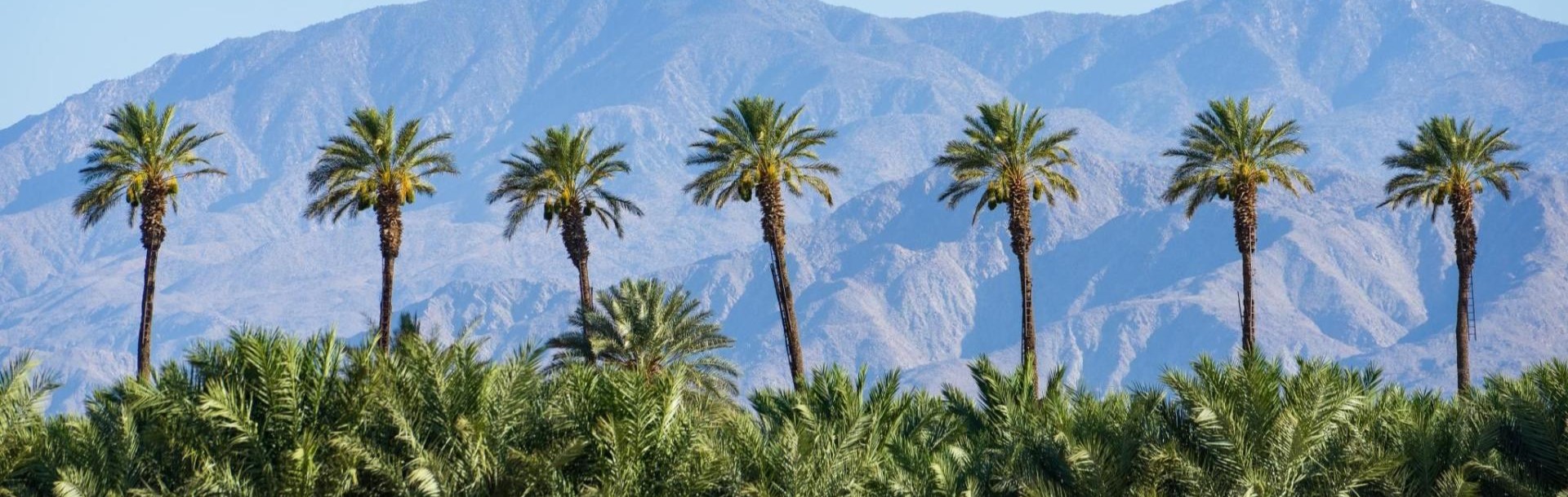 Palm Springs